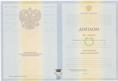 Диплом ИНУП 2010-2011 годов