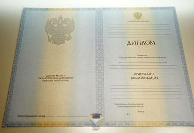 Диплом ИНУП 2012-2013 годов